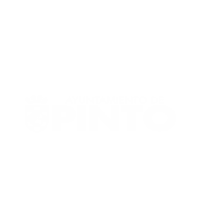 AYUNTAMIENTODEPINTO