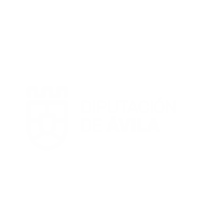 DIPUTACIONDEAVILA