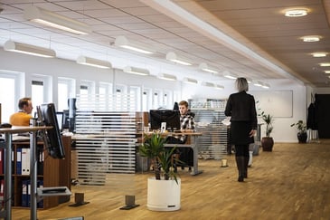 Por qué buscas talento fuera de tu empresa si podrías tenerlo dentro