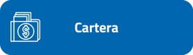 cartera-2