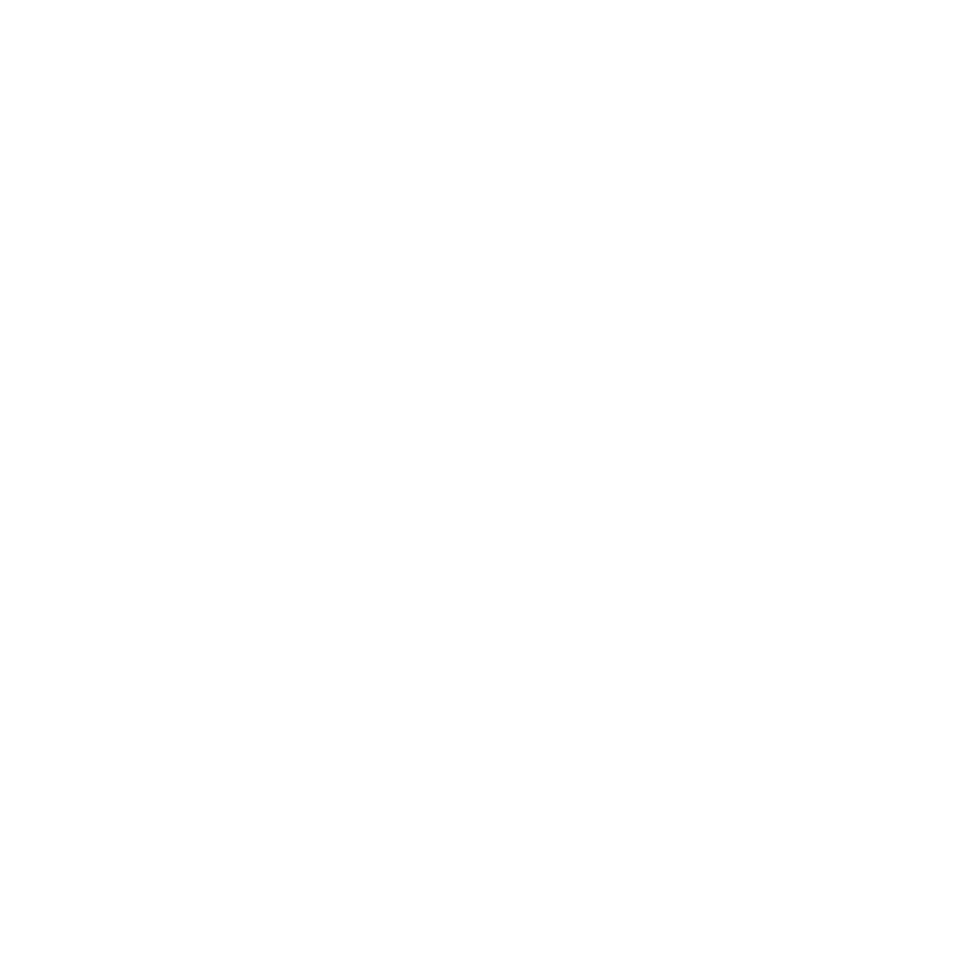 Airbus