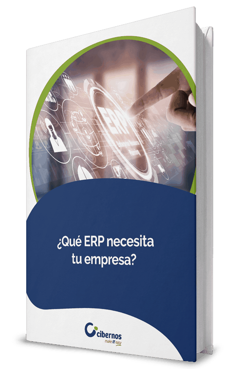Portada: Ebook Qué ERP necesitas para tu empresa